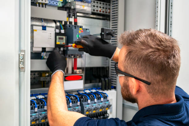 Best Electrical System Inspection  in Cobb Island, MD